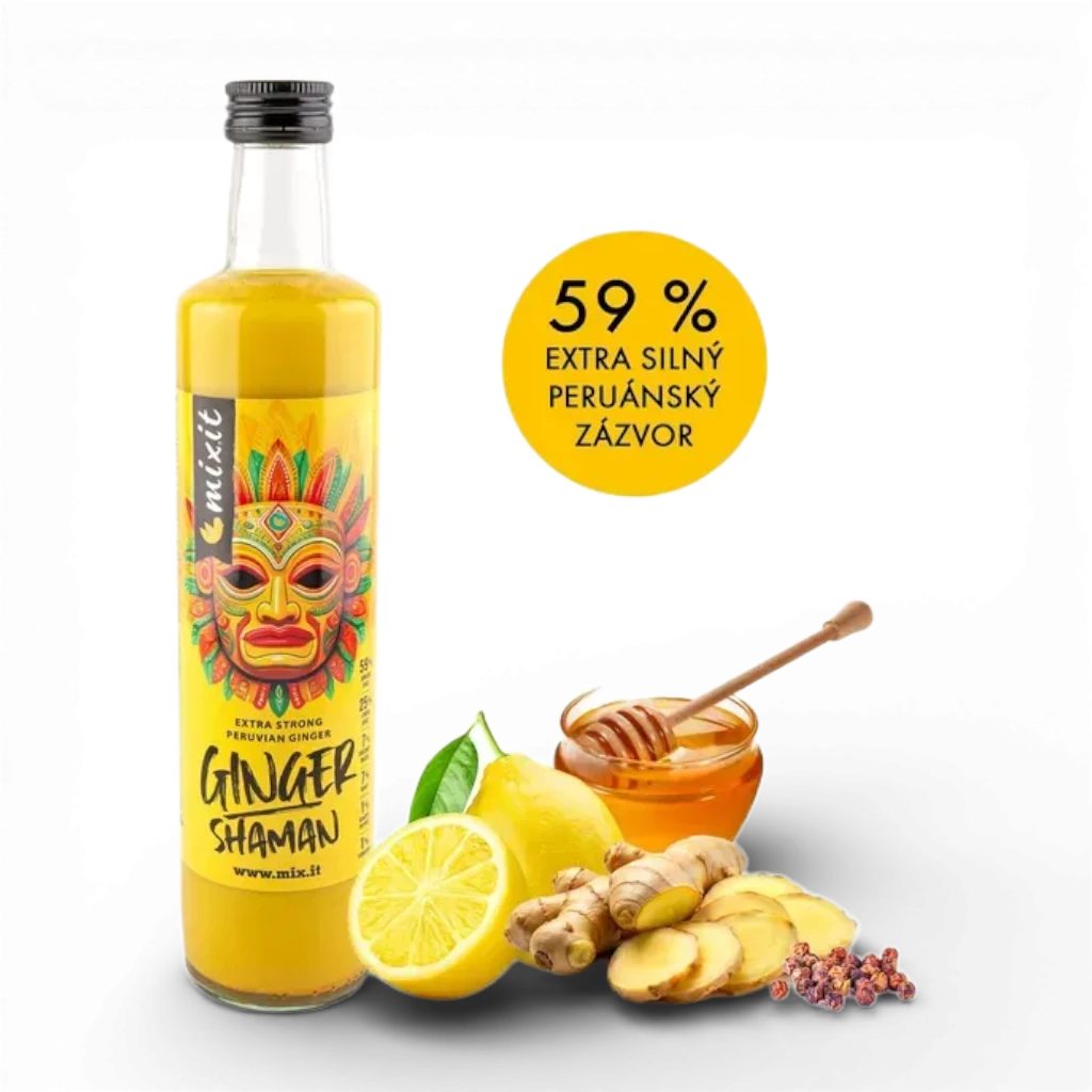 Mixit - Ginger Shaman 500ml